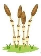 粘土で春をつくろう