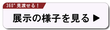 展示を観る